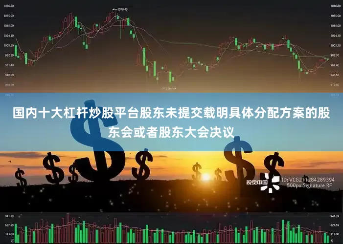 国内十大杠杆炒股平台股东未提交载明具体分配方案的股东会或者股东大会决议