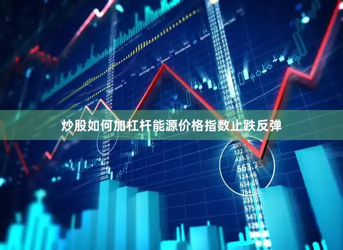 炒股如何加杠杆能源价格指数止跌反弹
