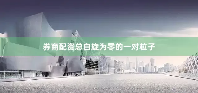 券商配资总自旋为零的一对粒子