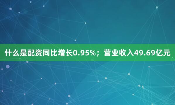 什么是配资同比增长0.95%；营业收入49.69亿元